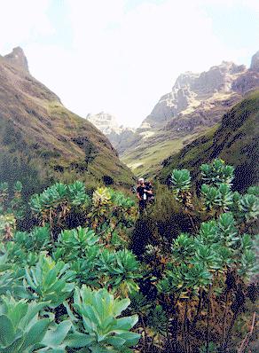Henry in Drakensburg range