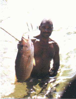 The fish we ate that night