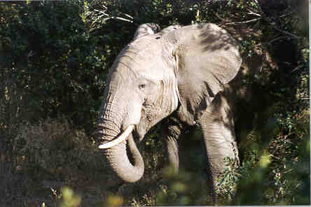 Our friend notices us for the first time